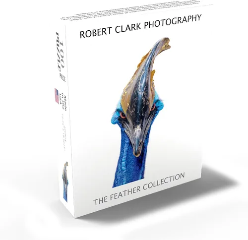 Miniatura 2 de MyPuzzle Cassowary - Rompecabezas prémium de 100 piezas, fabricado en Estados Unidos