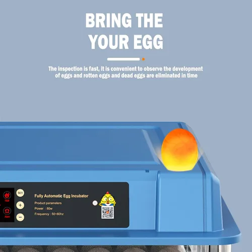 Miniatura 3 de Incubadoras automáticas para incubar huevos, capacidad para 6-256 huevos, girador automático de huevos y control de humedad, vista de 360°, vela