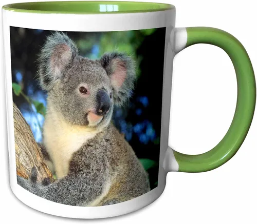 Miniatura 11 de 3dRose Oso de koala, Australia, árbol de eucalipto - SA01 KSC0000 - Kevin Schafer - Taza negra de dos tonos de 11 oz