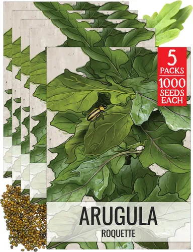 Miniatura 10 de Seed Needs, Semillas de acedera de hoja grande, 500 semillas tradicionales para plantar Rumex acetosa, hierba medicinal o culinaria sin OMG y sin