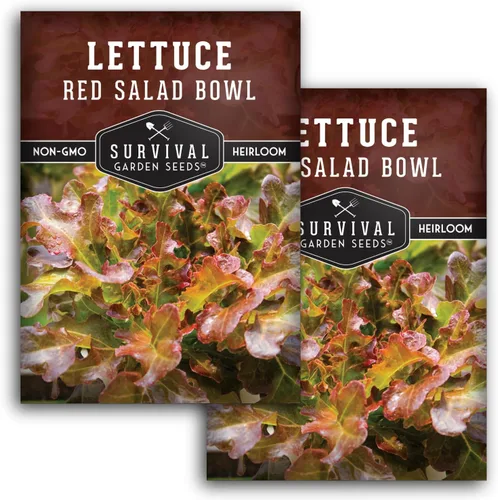 Miniatura 10 de Semillas de lechuga roja para plantar, 1 paquete con instrucciones para plantar y cultivar lechuga de hoja suelta en tu huerto casero, variedad