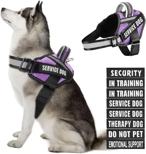 Miniatura 9 de Juego de arnés y parches para chaleco de perro, arnés para perro de servicio en entrenamiento Animire con 10 parches para perros, chaleco Rosa