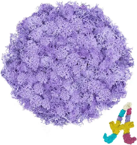 Miniatura 18 de Musgo de reno amarillo preservado de 3.5 onzas para plantas en maceta, decoración artesanal para arte de pared, musgo falso para decoración