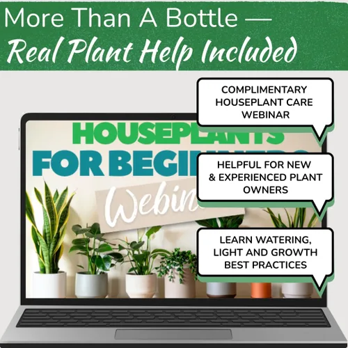 Miniatura 9 de Regadera de acero inoxidable para plantas de interior por Houseplant Resource Center Capacidad de 1 litro para plantas de interior/exterior en oro
