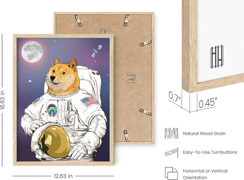 Miniatura 3 de HAUS AND HUES AstroDoge - Póster de meme, divertido arte de pared de Doge para dormitorio y sala de universidad, marco beige de 12 x 16 pulgadas
