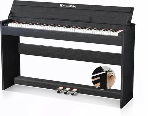 Miniatura 8 de Piano digital de 88 teclas con teclado pesado, soporte, cubierta, acción de martillo, teclado acústico eléctrico vertical de tamaño completo, pedal