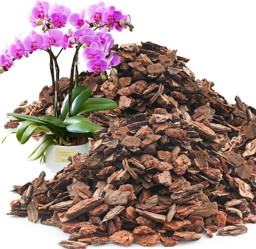 Miniatura 16 de AVALUTION Corteza para macetas de orquídeas: corteza de orquídea orgánica de 3 cuartos para plantas, todos los chips de madera de corteza de pino
