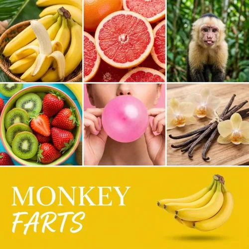 Miniatura 2 de Monkey Farts - Cera vegana vertida a mano fuertemente perfumada, 12 cubos de cera perfumada, 6.4 onzas en 2 paquetes de 6 unidades Pedos de mono