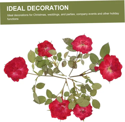 Miniatura 8 de EXCEART 1 juego de flores secas, hojas prensadas secas, tallo de pino prensado real para decorar hojas secas para hacer velas, decoración