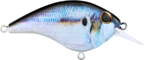 Miniatura 18 de Berkley Frittside Fishing Hard Bait Bronceado en aerosol