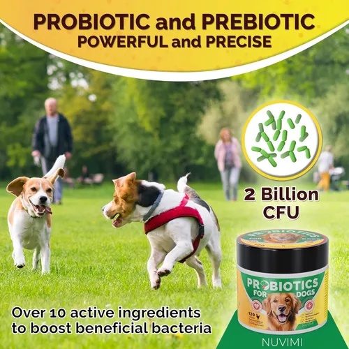 Miniatura 2 de Probióticos para perros – Comprimidos probióticos y prebióticos para perros – Suplemento de apoyo digestivo para la salud intestinal, alivio