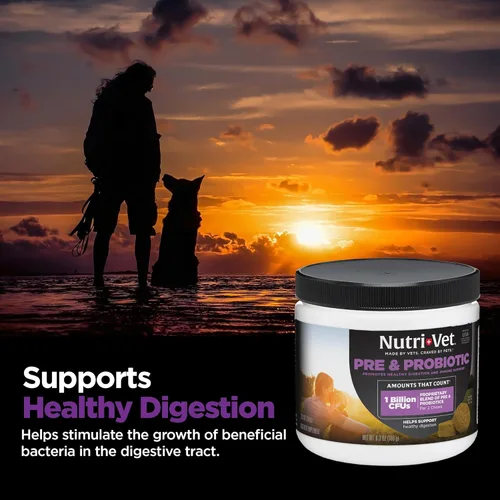 Miniatura 8 de Nutri-Vet Pre y probióticos para perros, apoyo digestivo, malestar estomacal, probiótico para cachorros, vitaminas y suplementos para mascotas