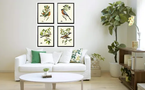 Miniatura 3 de LoveThePrint Beautfiul - Juego de 4 impresiones artísticas de pared de pájaros, bosque antiguo, al aire libre, naturaleza, ciencias naturales