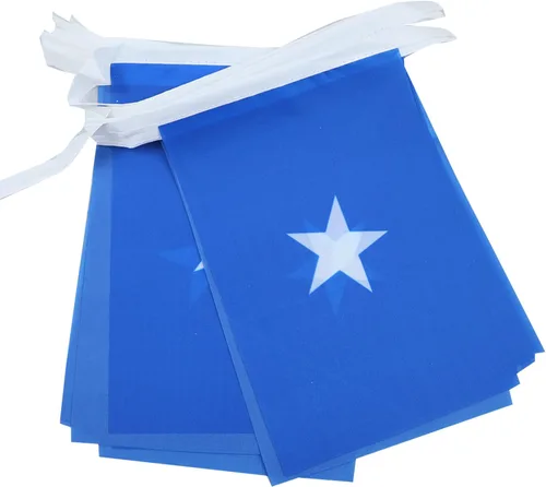 Miniatura 76 de AZ FLAG Señal marítima internacional 42.7 ft BUNTING Flag 40 banderas 9'' x 6'' - Banderas de cuerda del alfabeto náutico 5.9 x 8.3 in