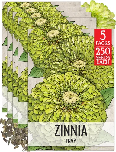 Miniatura 55 de Seed Needs California Giants - Semillas de zinnia – 250 semillas tradicionales para plantar Zinnia elegans – Cultiva flores anuales polinizadas