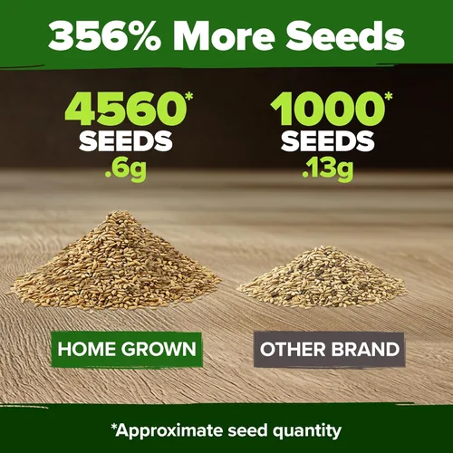 Miniatura 3 de HOME GROWN Paquete de semillas de manzanilla alemana: 4,560 semillas tradicionales para plantar jardines sostenibles y tés de hierbas medicinales