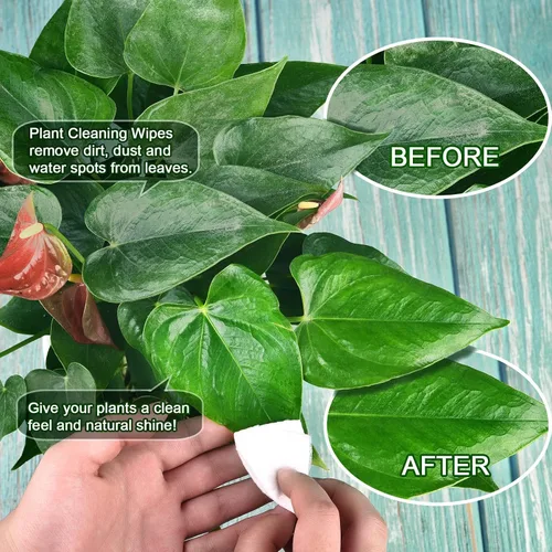 Miniatura 3 de Leopong Toallitas de limpieza de plantas, limpiador de hojas para plantas de interior, 80 toallitas