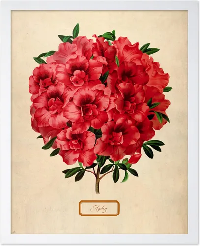 Miniatura 42 de Poster Master Póster Vintage de Plantas Cultivadas - Impresión Botánica Retro - Arte de Flores - Arte de Plantas - Regalo para Hombres y Mujeres