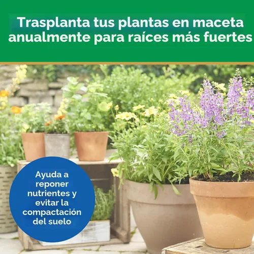 Miniatura 8 de Miracle-Gro Mezcla para macetas con control de humedad, para plantas en contenedor, protege contra el riego excesivo y insuficiente, 8 cuartos