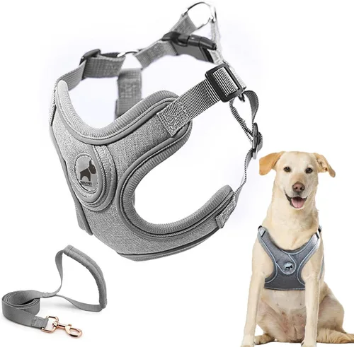 Miniatura 12 de Arnés para perro con juego de correa, arneses para cachorros con acolchado transpirable para entrenamiento y carrera de perros pequeños (XS, gris)
