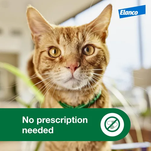 Miniatura 8 de Advantage XD - Prevención y tratamiento de pulgas para gatos pequeños 1.8-9lbs. 4 dosis tópicas, 2 meses de protección por dosis
