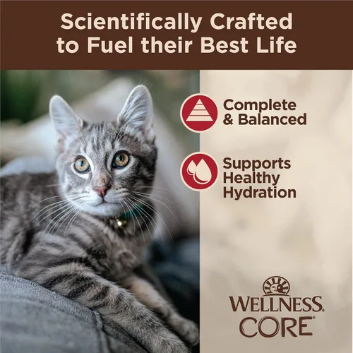 Miniatura 4 de Wellness CORE Tiny Tasters - Alimento húmedo picado para gatos adultos, natural, rico en proteínas, sin granos, receta de pollo y carne de res, 1.75