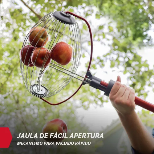 Miniatura 6 de GARDEN WEASEL Rodillo recolector de tuercas grande – Herramienta colectora de tuercas para nueces, pelotas de tenis y más – Recogedor de patio