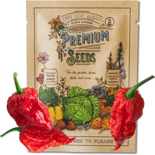 Semillas de pimiento fantasma para plantar – Bhut Jolokia – 10 semillas sin OMG, semillas de reliquia – Variedad de pimientos picantes para jardín