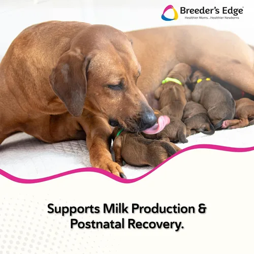 Miniatura 2 de Breeder's Edge - Suplemento oral Cal Plus en polvo, calcio y vitamina D3 para perros y gatos lactantes, apoya huesos, dientes y lactancia
