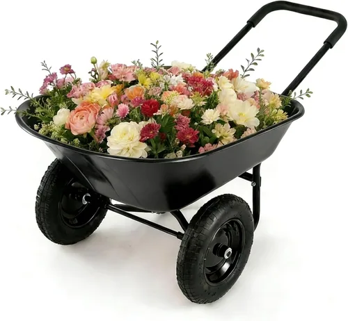 ERGOMASTER Carretilla de doble rueda, carrito de jardín utilitario para el hogar, capacidad de 330 libras, carrito grande y resistente para Negro