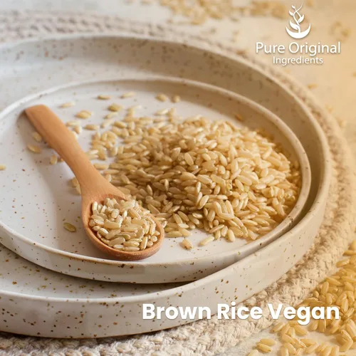 Miniatura 3 de PURE ORIGINAL INGREDIENTS Polvo de proteína vegana de arroz integral (1 libra) de arroz integral germinado, sin gluten, batidos y batidos