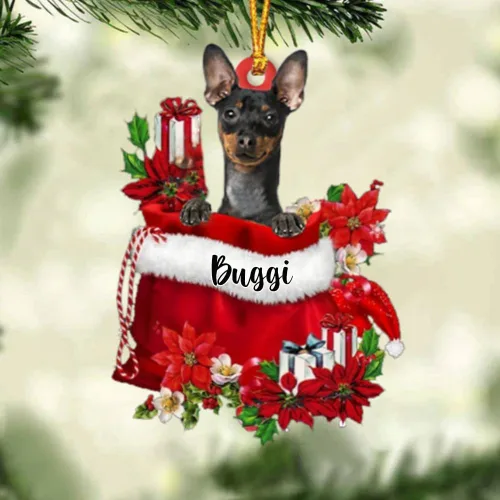 Miniatura 22 de Perro Akita Inu personalizado en bolsa de regalo, adorno de Navidad, nombre personalizado, regalo para amantes de los perros, familia, Navidad