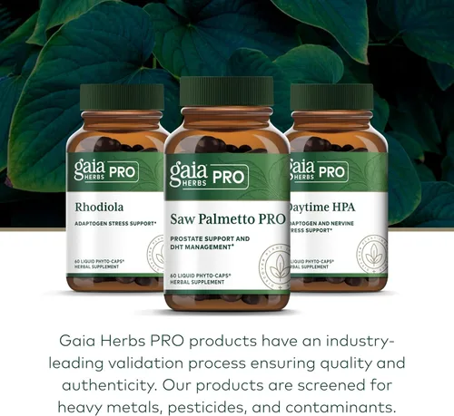 Miniatura 6 de GAIA HERBS PRO Saw Palmetto PRO - Suplemento saludable de apoyo para la glándula prostática* - Suplemento de hierbas con palma enana americana