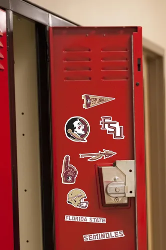 Miniatura 4 de Florida State University - Paquete variado de 50 calcomanías de vinilo grandes de lujo para laptop, botella de agua, álbumes de recortes, tableta