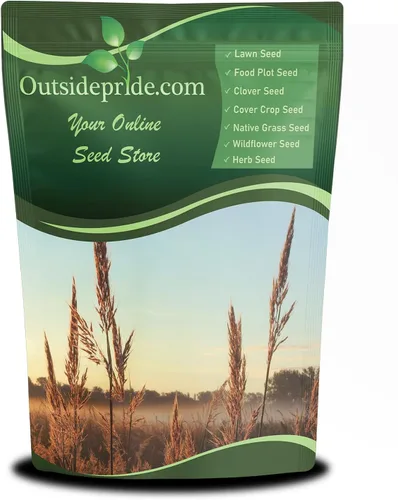 Outsidepride Semilla de hierba azul grande de andropogon perenne, 10 libras, temporada cálida, resistente a la sequía, semillas de hierba de pradera