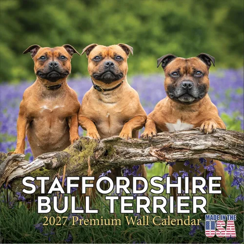 Miniatura 208 de Calendario amarillo 2025 2026 de Labrador Pups – Calendario mensual de pared de raza de perro – 12" x 24" abierto – Papel grueso anti-traspaso