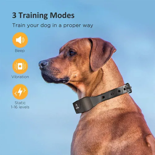 Miniatura 2 de PATPET Collar de entrenamiento para perros grandes – IPX7 impermeable E collar para perros con pitido, vibración y modos estáticos