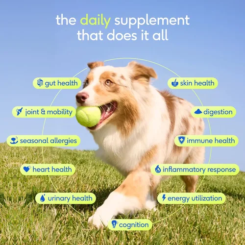 Miniatura 2 de Native Pet Vitaminas y Suplementos para Perros - Polvo de Vitaminas 11-en-1 para Complemento de Comida de Perro - Colágeno, Glucosamina