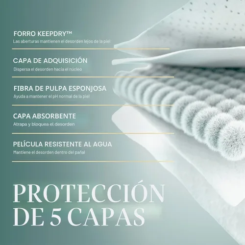 Miniatura 6 de Pampers Amore, tamaño 3 (13-26 libras), 66 unidades, nuestro mejor pañal, hipoalergénico y sin fragancia, hasta 100% a prueba de fugas, suave como