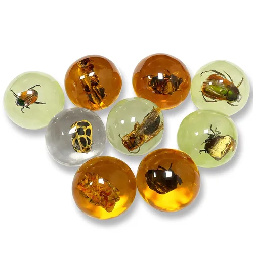 Miniatura 9 de 8 piezas de fósiles de ámbar con insectos, colgantes de fósiles de ámbar BOSOIRSOU, diferentes especímenes de insectos, insectos preservados