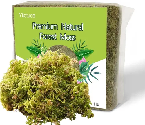 Miniatura 5 de Musgo de orquídea natural de 7 onzas para plantas en maceta, bonito suelo para macetas sin suelo para plántulas y cortes, buena idea para terrario