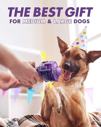 Miniatura 4 de FifthQuarter Juguetes chirriantes para perros: juguetes para perros casi indestructibles para masticadores agresivos, goma natural, juguetes