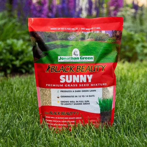 Miniatura 3 de Jonathan Green (10895) Black Beauty Sunny Grass Seed - Semilla de césped de temporada fría (1 libra)