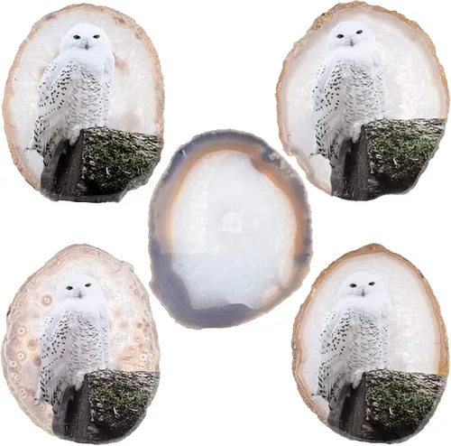 Miniatura 3 de Rockcloud Exhibición de losa de ágata de búho nevado con soporte de madera, forma irregular, ágata, rebanada de piedra, adorno de escritorio