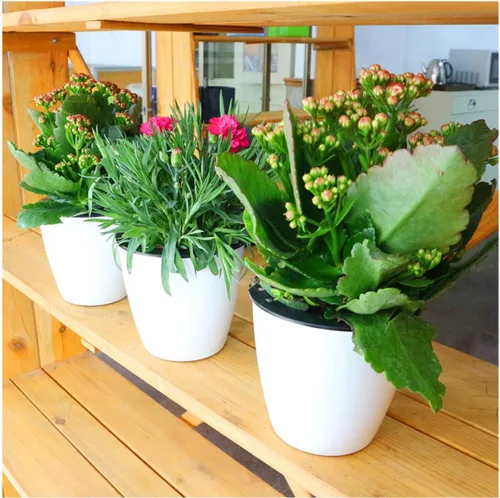 Miniatura 7 de Macetero de riego automático de 5.2" en color blanco, maceta de flores, juego de 3 macetas medianas, maceta mini, para todas las plantas, hierbas