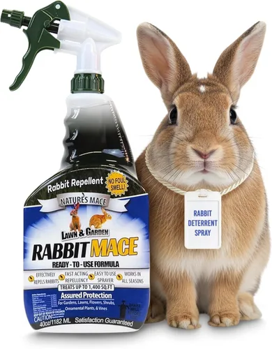 Nature's Mace Spray repelente de conejo listo para usar, para exteriores, aroma a menta, seguro para personas, mascotas y plantas, protege el jardín