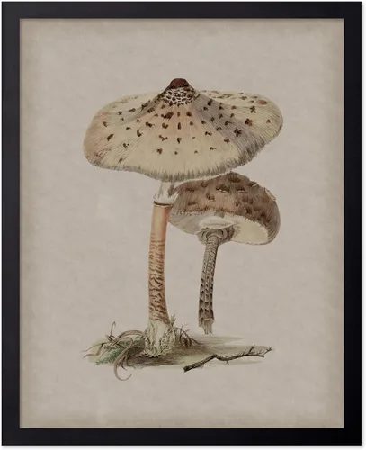 Miniatura 73 de Poster Master Póster vintage de Oppenheimer – Impresión de manuscrito de bomba atómica retro – Arte del proyecto Manhattan – Regalo para él, ella
