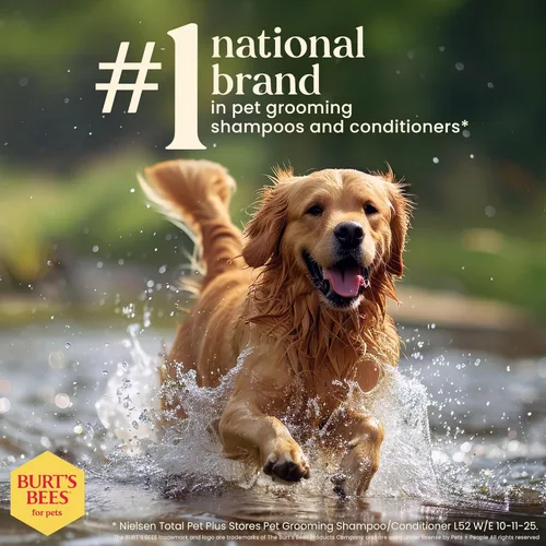 Miniatura 5 de BURT'S BEES FOR PETS Champú desodorizante para perros de origen natural con manzana y romero, champú para perros para olores - Sin crueldad