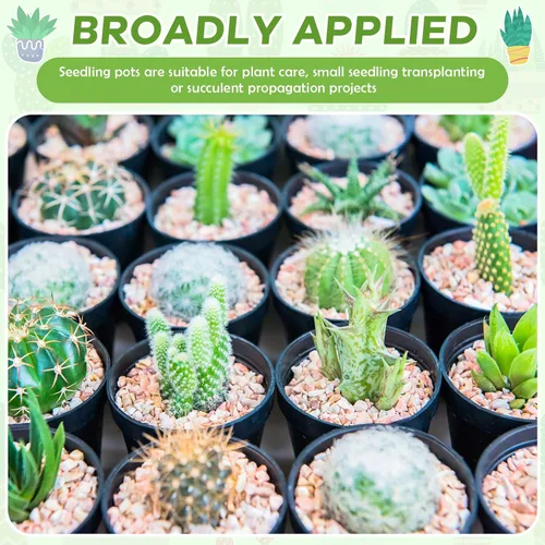 Miniatura 4 de Yaomiao 200 Piezas Macetas de Plástico Negras Mini de 2 Pulgadas para Plantas de Vivero, Macetas de Semillero Iniciador de Semillas con Agujeros