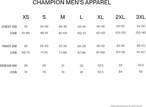 Miniatura 6 de Champion Men's Powerblend Fleece Hoodie, Script